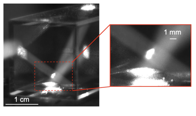 View from a camera located on the side of the PICMOT setup. Inset: MOT cloud