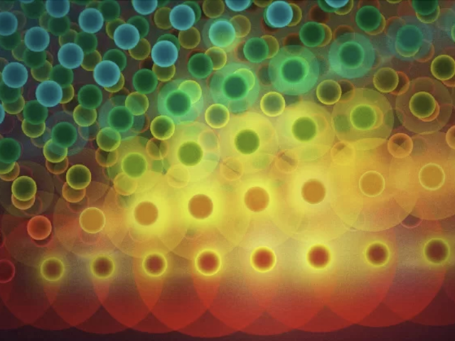 NSF distinguished lecture